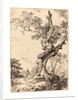 Study of an Old Oak Tree by Anonymous