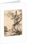 Study of an Old Oak Tree by Anonymous
