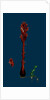Orobanche Rubra; Red Broom-Rape by Anonymous