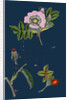 Rosa Canina; Common Dog-Rose by Anonymous