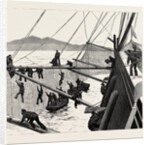 Throwing Out Torpedo-Nets to Protect the Sultan by Anonymous