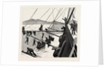Throwing Out Torpedo-Nets to Protect the Sultan by Anonymous