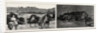 The Recent Rebellion in Canada: on the Trail after Big Bear, Transport Wagons in Mukeg (Mossy Bog) by Anonymous