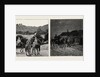 The Recent Rebellion in Canada: on the Trail after Big Bear, Transport Wagons in Mukeg (Mossy Bog) by Anonymous