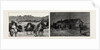 The Recent Rebellion in Canada: on the Trail after Big Bear, Transport Wagons in Mukeg (Mossy Bog) by Anonymous