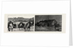 The Recent Rebellion in Canada: on the Trail after Big Bear, Transport Wagons in Mukeg (Mossy Bog) by Anonymous