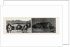 The Recent Rebellion in Canada: on the Trail after Big Bear, Transport Wagons in Mukeg (Mossy Bog) by Anonymous
