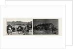 The Recent Rebellion in Canada: on the Trail after Big Bear, Transport Wagons in Mukeg (Mossy Bog) by Anonymous
