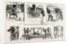 First Experiences of a Calcutta Palki, India by Anonymous