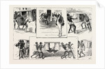 First Experiences of a Calcutta Palki, India by Anonymous