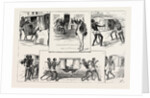 First Experiences of a Calcutta Palki, India by Anonymous