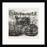 Breathing Spaces for London, Clissold Park, Stoke Newington, Open to the Public on Sundays by Anonymous