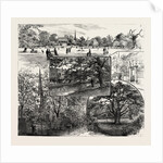 Breathing Spaces for London, Clissold Park, Stoke Newington, Open to the Public on Sundays by Anonymous