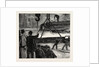 Prince Albert Victor at Sheffield and Cleethorpes: Rolling an Armour-Plate for the Galatea by Anonymous