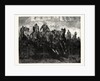 Cavalry Display by the Third (King's Own) Hussars at the Royal Military Tournament at the Agricultural Hall by Anonymous