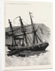 The Particular Service Squadron in Bantry Bay, Ireland: The Accident to the Leander, Her Appearance Next Morning by Anonymous