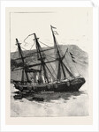 The Particular Service Squadron in Bantry Bay, Ireland: The Accident to the Leander, Her Appearance Next Morning by Anonymous