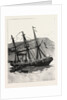 The Particular Service Squadron in Bantry Bay, Ireland: The Accident to the Leander, Her Appearance Next Morning by Anonymous