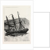 The Particular Service Squadron in Bantry Bay, Ireland: The Accident to the Leander, Her Appearance Next Morning by Anonymous