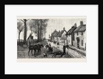 The Sensational Run of the Bicester Hounds, Death of Lady Chesham's Mare in the Village of Chesterton by Anonymous
