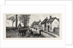 The Sensational Run of the Bicester Hounds, Death of Lady Chesham's Mare in the Village of Chesterton by Anonymous