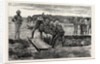 The War in the Soudan: Burial of the Late MK. J.A. Cameron, of the Standard, by His Fellow-Correspondents by Anonymous