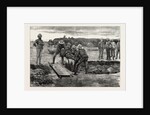 The War in the Soudan: Burial of the Late MK. J.A. Cameron, of the Standard, by His Fellow-Correspondents by Anonymous