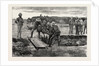 The War in the Soudan: Burial of the Late MK. J.A. Cameron, of the Standard, by His Fellow-Correspondents by Anonymous