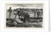 The War in the Soudan: Burial of the Late MK. J.A. Cameron, of the Standard, by His Fellow-Correspondents by Anonymous