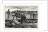 The War in the Soudan: Burial of the Late MK. J.A. Cameron, of the Standard, by His Fellow-Correspondents by Anonymous