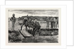 The War in the Soudan: Burial of the Late MK. J.A. Cameron, of the Standard, by His Fellow-Correspondents by Anonymous