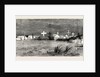 The War in the Soudan: The English Cemetery at Suakim by Anonymous