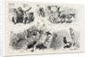 Experiences of a Traveller in an Indian Country Cart by Anonymous