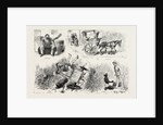 Experiences of a Traveller in an Indian Country Cart by Anonymous