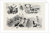 Experiences of a Traveller in an Indian Country Cart by Anonymous