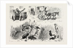 Experiences of a Traveller in an Indian Country Cart by Anonymous