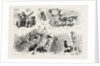 Experiences of a Traveller in an Indian Country Cart by Anonymous