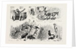 Experiences of a Traveller in an Indian Country Cart by Anonymous