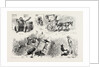 Experiences of a Traveller in an Indian Country Cart by Anonymous