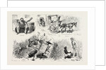Experiences of a Traveller in an Indian Country Cart by Anonymous