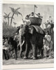 Specimens of King Theebaw's Army by Anonymous