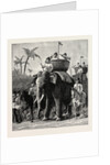 Specimens of King Theebaw's Army by Anonymous