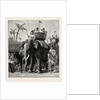 Specimens of King Theebaw's Army by Anonymous