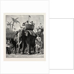 Specimens of King Theebaw's Army by Anonymous