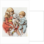 The Adventures of Pincher (a Dog): I Begin to Suspect I Am Among Friends. by Anonymous