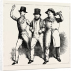 Parliamentary Elections and Electioneering in the Old Days: J. Doyle: Three Great Pillars of Government, or a Walk from White Conduit House to St. Stephen's, July 23, 1831 by Anonymous