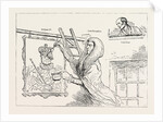 Parliamentary Elections and Electioneering in the Old Days: J. Doyle: Varnishing, a Sign (of the Times), June 24, 1831 by Anonymous