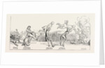 Parliamentary Elections and Electioneering in the Old Days: J. Doyle: Leap-Frog on a Level, or Going Headlong to the Devil, May 9, 1831 by Anonymous