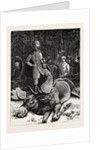 Bull Elk Killed by the Crown Prince of Sweden at Hunneberg by Anonymous