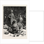 Bull Elk Killed by the Crown Prince of Sweden at Hunneberg by Anonymous